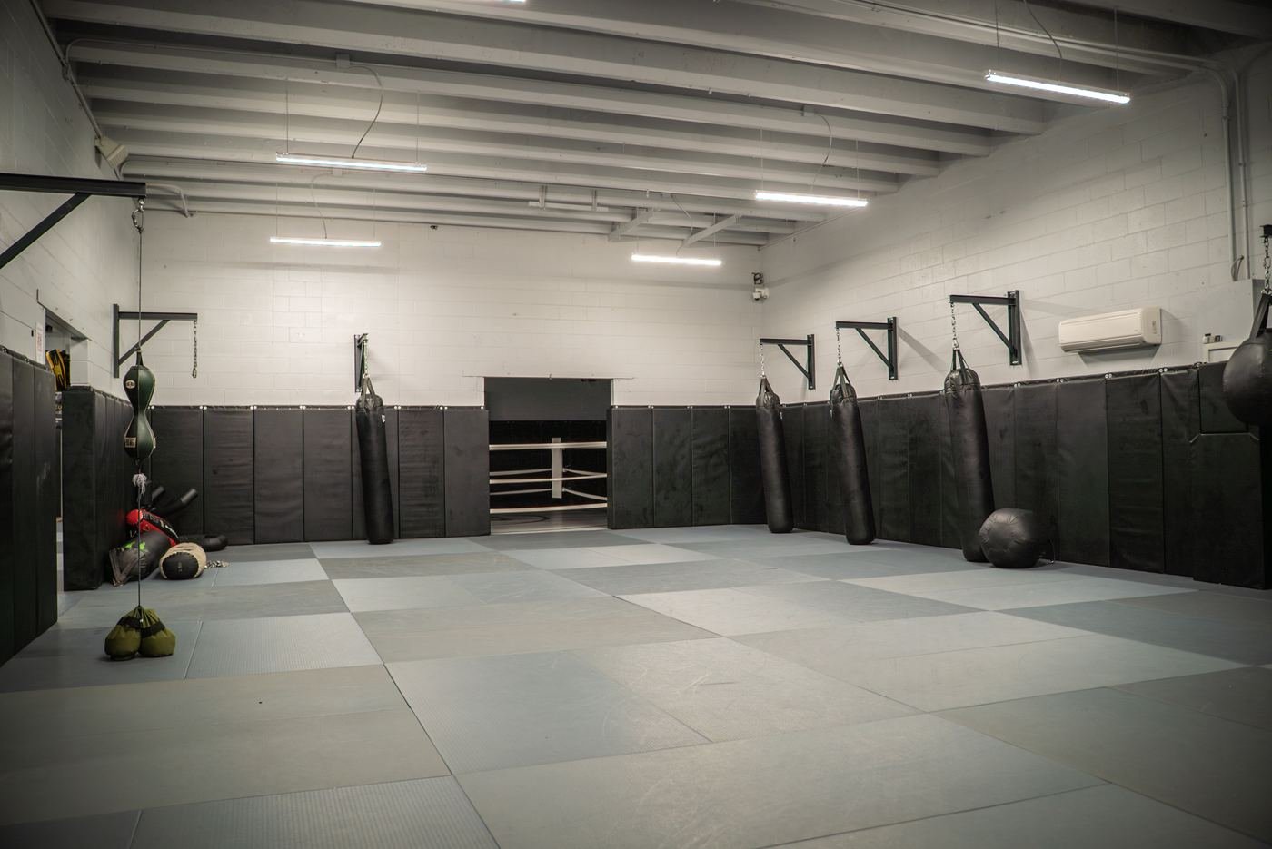 Striking room with hanging bags and a view of the ring